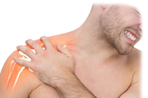 Hondroine Hondoprotector helpt zowel bij acute gewrichtspijn als chronische ziekten